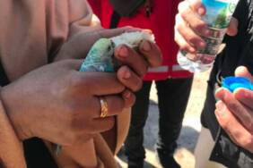 Depremden-55-saat-sonra-elinde-muhabbet-kuşuyla-enkazdan-sağ-kurtarıldı