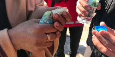 Depremden-55-saat-sonra-elinde-muhabbet-kuşuyla-enkazdan-sağ-kurtarıldı