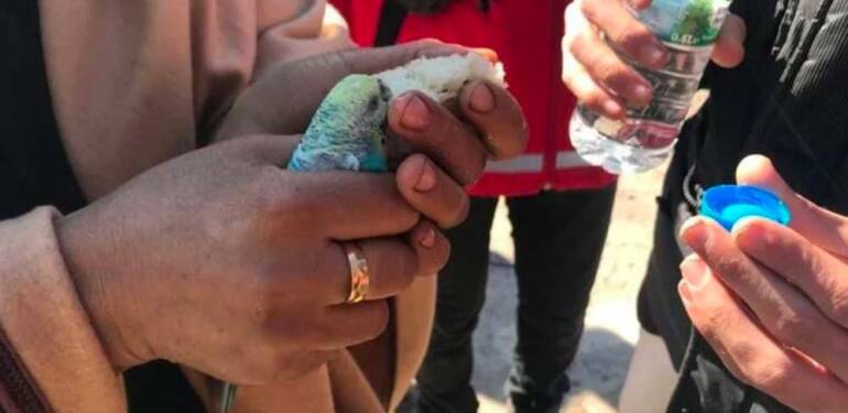 Depremden 55 saat sonra elinde muhabbet kuşuyla enkazdan sağ kurtarıldı