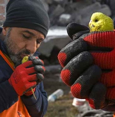 Enkazdan-5-gün-sonra-çıkarılan-muhabbet-kuşuna-Mucize-adı-verildi-
