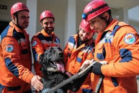 Enkazdan-çıkarılan-'Hayat'-köpek-kendisini-sahiplenen-ekiple-hayat-kurtaracak-1