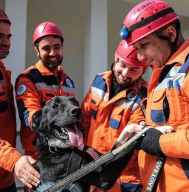 Enkazdan çıkarılan 'Hayat' köpek kendisini sahiplenen ekiple hayat kurtaracak 10 Enkazdan-çıkarılan-'Hayat'-köpek-kendisini-sahiplenen-ekiple-hayat-kurtaracak-1