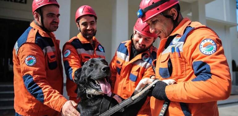 Enkazdan çıkarılan ‘Hayat’ köpek kendisini sahiplenen ekiple hayat kurtaracak