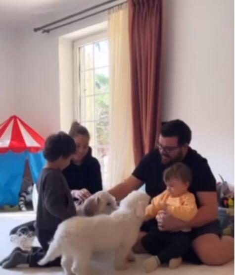 Eser Yenenler ile Berfu Yenenler çifti depremde kurtulan köpekleri sahiplendi