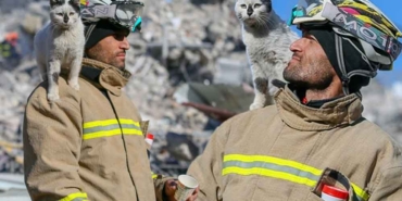 Göçük-altından-çıkarılan-kediye-“Enkaz”-adı-verildi--Arama-kurtarma-ekibinin-can-dostu-oldu