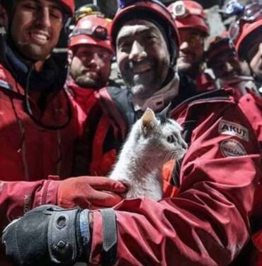 Hatay'daki enkazdan 'Holigan' isimli kedi 116 saat sonra canlı olarak çıkarıldı 5 Hatay'daki-enkazdan-'Holigan'-isimli-kedi-116-saat-sonra-canlı-olarak-çıkarıldı