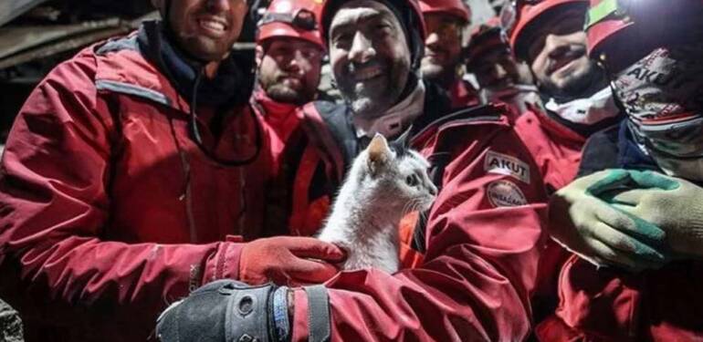Hatay’daki enkazdan ‘Holigan’ isimli kedi 116 saat sonra canlı olarak çıkarıldı