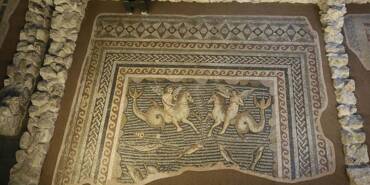 Hippokamposlara-binen-Erosların-mozaiği-Adana'da-sergileniyor-2