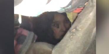 Kahramanmaraş'ta-enkaz-altında-kalan-5-yaşındaki-çocuk-48-saat-sonra-kurtarıldı