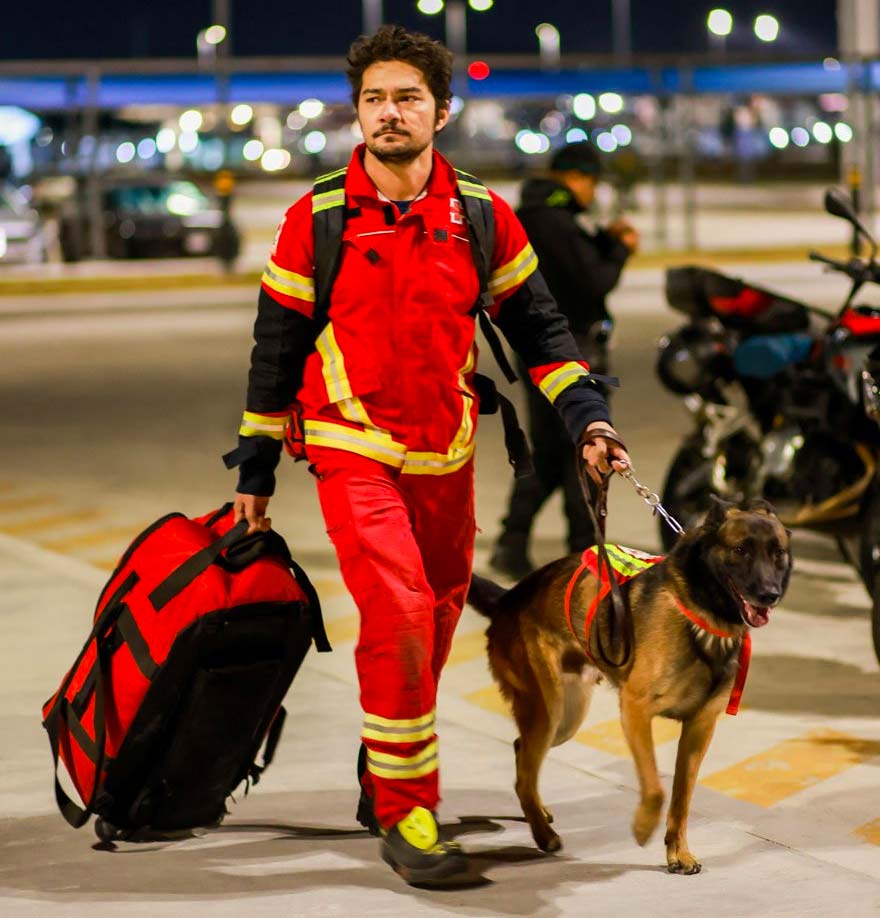 Meksika kahraman arama-kurtarma köpeklerini Türkiye’ye gönderdi