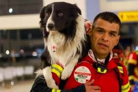 Meksika-kahraman-arama-kurtarma-köpeklerini-Türkiye’ye-gönderdi
