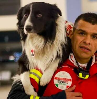 Meksika kahraman arama-kurtarma köpeklerini Türkiye’ye gönderdi 4 Meksika-kahraman-arama-kurtarma-köpeklerini-Türkiye’ye-gönderdi