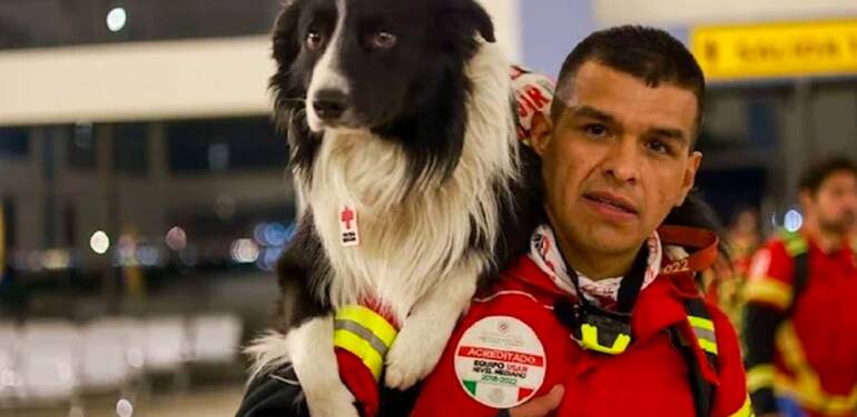 Meksika kahraman arama-kurtarma köpeklerini Türkiye’ye gönderdi