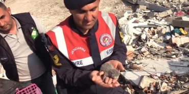 Osmaniye'de-enkaz-altında-kalan-5-kedi-yavrusu-kurtarıldı-