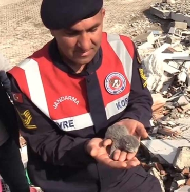 Osmaniye'de enkaz altında kalan 5 kedi yavrusu kurtarıldı 10 Osmaniye'de-enkaz-altında-kalan-5-kedi-yavrusu-kurtarıldı-
