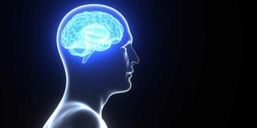 1932'den-beri-artıyordu--İnsanlığın-IQ'su-düşmeye-başladı