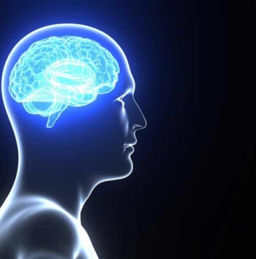 1932'den beri artıyordu: İnsanlığın IQ'su düşmeye başladı 8 1932'den-beri-artıyordu--İnsanlığın-IQ'su-düşmeye-başladı