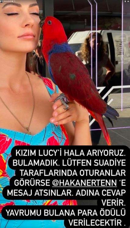 Burcu Özberk’in papağanı evden kaçtı: Yavrumu bulana para ödülü verilecek