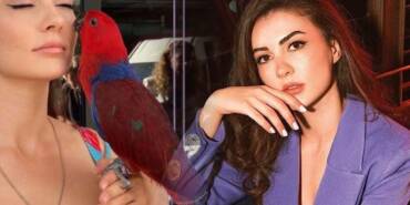 Burcu-Özberk’in-papağanı-evden-kaçtı--Yavrumu-bulana-para-ödülü-verilecek