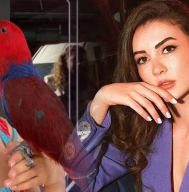 Burcu Özberk’in papağanı evden kaçtı: Yavrumu bulana para ödülü verilecek 8 Burcu-Özberk’in-papağanı-evden-kaçtı--Yavrumu-bulana-para-ödülü-verilecek