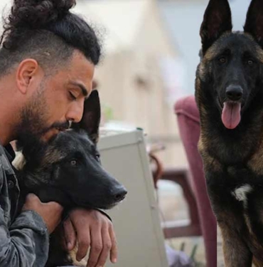 Depremden saniyeler önce havlayan Şila, ailesini uyandırdı: Normalde evde havlamazdı 2 Depremden-saniyeler-önce-havlayan-Şila,-ailesini-uyandırdı--Normalde-evde-havlamazdı