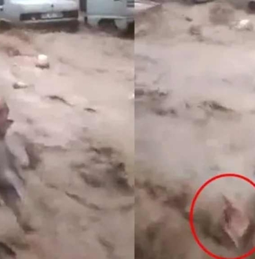 Sosyal medya bu görüntüleri konuşuyor: Sele kapılan kişiye el uzatmak yerine video çekti! 4 Sosyal-medya-bu-görüntüleri-konuşuyor--Sele-kapılan-kişiye-el-uzatmak-yerine-video-çekti!