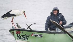 "Yaren" leylek 12'nci yılında da balıkçı Adem amcayı unutmadı! Göl manzaralı yuvası Eskikaraağaç'a geri geldi