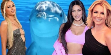 Yunusların-Kim-Kardashian,-Paris-Hilton-ve-Britney-Spears-ile-ortak-bir-özelliği-keşfedildi