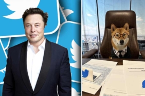 Elon Musk köpeğini Twitter'a CEO olarak atadı: İşten çıkarmalardan dolayı sorumlu tutulmaktan bıktım 3 Elon-Musk-köpeğini-Twitter'a-CEO-olarak-atadı