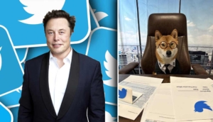 Elon Musk köpeğini Twitter'a CEO olarak atadı: İşten çıkarmalardan dolayı sorumlu tutulmaktan bıktım