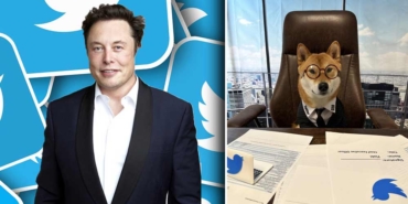 Elon-Musk-köpeğini-Twitter'a-CEO-olarak-atadı