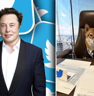 Elon Musk köpeğini Twitter'a CEO olarak atadı: İşten çıkarmalardan dolayı sorumlu tutulmaktan bıktım 8 Elon-Musk-köpeğini-Twitter'a-CEO-olarak-atadı