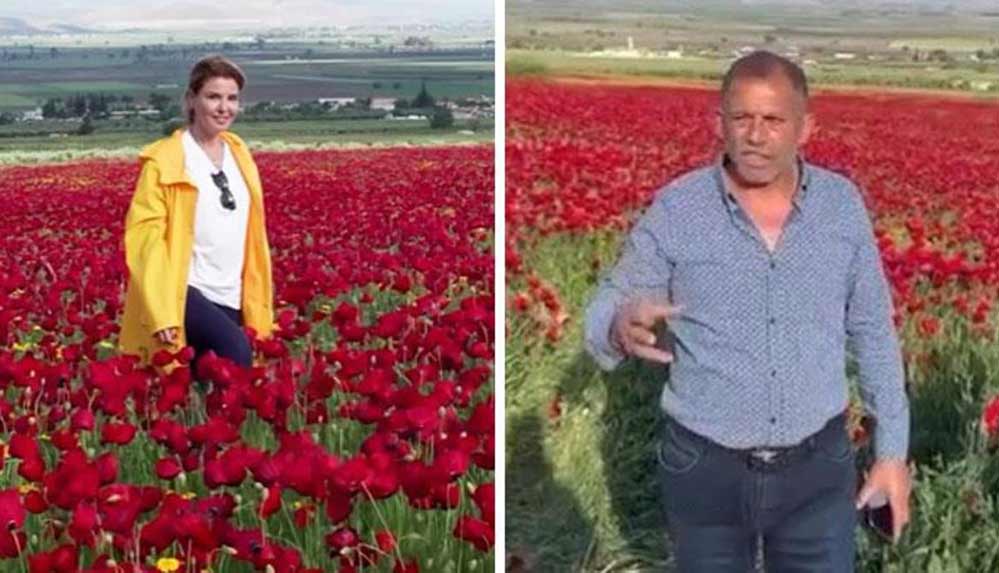 Gülben-Ergen-gelinciklerin-içinde-‘Depremi-unutma’-dedi,-tarla-sahibinden-tepki-geldi