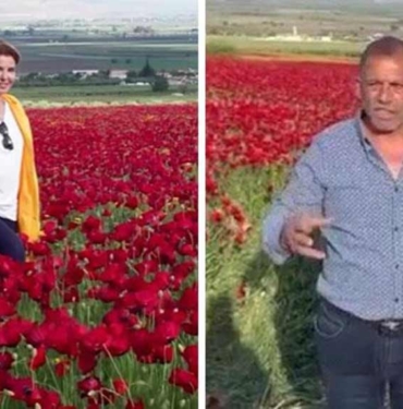 Gülben-Ergen-gelinciklerin-içinde-‘Depremi-unutma’-dedi,-tarla-sahibinden-tepki-geldi