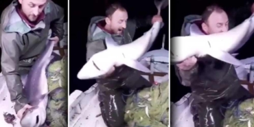 Karadenizli-balıkçı-yakaladığı-köpek-balığını-böyle-ısırdı!