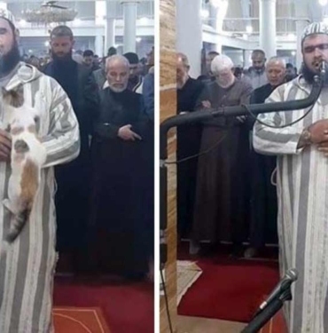 Kedi,-teravih-namazı-kıldıran-imamın-üzerine-tırmandı;-imamın-kediye-gösterdiği-şefkat-viral-oldu