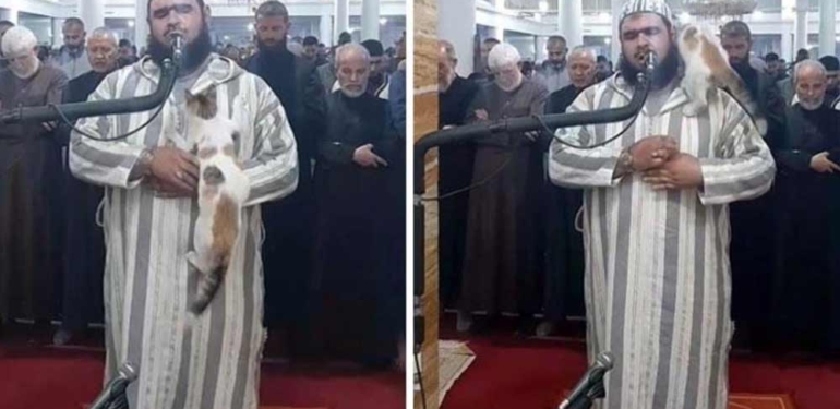 Kedi, teravih namazı kıldıran imamın üzerine tırmandı; imamın kediye gösterdiği şefkat viral oldu 6 Kedi,-teravih-namazı-kıldıran-imamın-üzerine-tırmandı;-imamın-kediye-gösterdiği-şefkat-viral-oldu