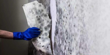 Küf-lekelerinden-5-dakikada-kurtulmak-mümkün!-Küf-lekelerine-kesin-çözüm!-