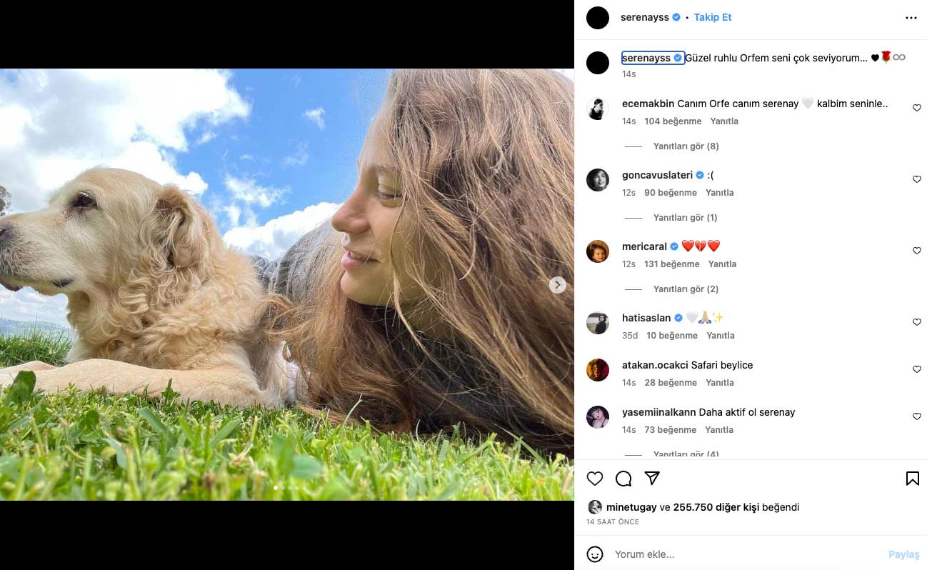 Serenay Sarıkaya’nın acı günü! Sosyal medyadan duyurdu…