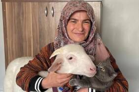 Oy-kullanmaya-kuzusu-'Pamuk'la-geldi