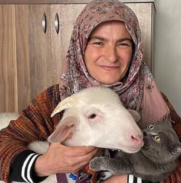 Oy kullanmaya kuzusu 'Pamuk'la geldi 7 Oy-kullanmaya-kuzusu-'Pamuk'la-geldi