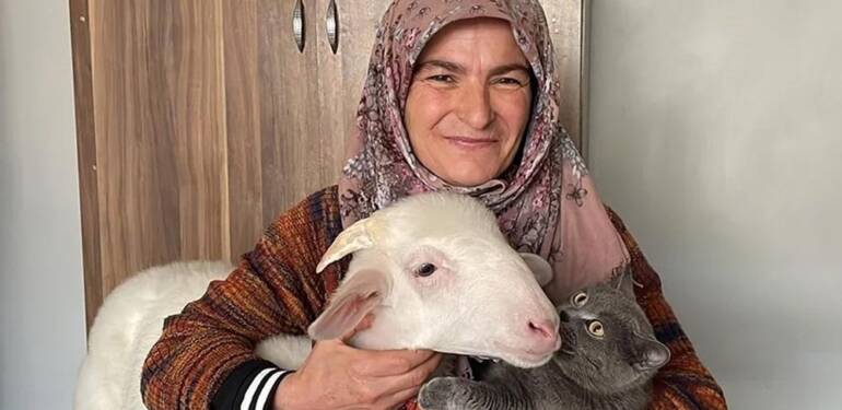 Oy kullanmaya kuzusu 'Pamuk'la geldi 6 Oy-kullanmaya-kuzusu-'Pamuk'la-geldi