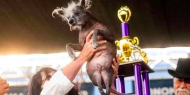 'Dünyanın-en-çirkin-köpeği'-yarışmasının-kazananı-belli-oldu