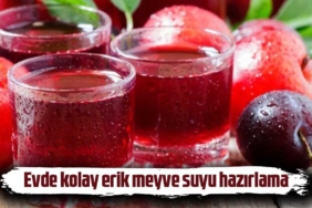 Erikten-meyve-suyu-nasıl-yapılır--Evde-kolay-erik-meyve-suyu-hazırlama