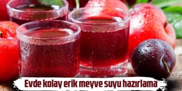 Erikten-meyve-suyu-nasıl-yapılır--Evde-kolay-erik-meyve-suyu-hazırlama