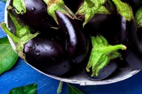 Herkes çöpe atıyor, siz sakın atmayın! Patlıcan sapı meğer o hastalığa iyi geliyormuş! 8 Herkes-çöpe-atıyor,-siz-sakın-atmayın!-Patlıcan-sapı-o-hastalığa-derman-oluyor