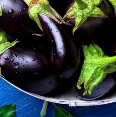 Herkes çöpe atıyor, siz sakın atmayın! Patlıcan sapı meğer o hastalığa iyi geliyormuş! 7 Herkes-çöpe-atıyor,-siz-sakın-atmayın!-Patlıcan-sapı-o-hastalığa-derman-oluyor
