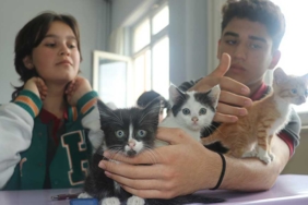 Kedi-'Sütlaç'-ve-7-yavrusu-lisenin-yeni-üyeleri-oldu