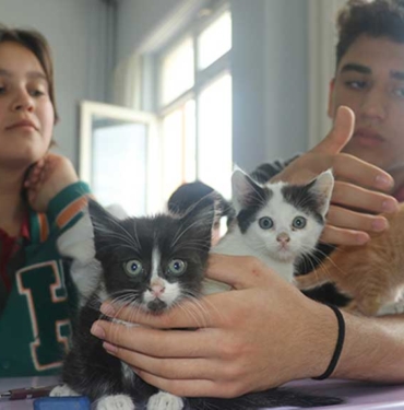 Kedi "Sütlaç" ve 7 yavrusu lisenin yeni üyeleri oldu 5 Kedi-'Sütlaç'-ve-7-yavrusu-lisenin-yeni-üyeleri-oldu