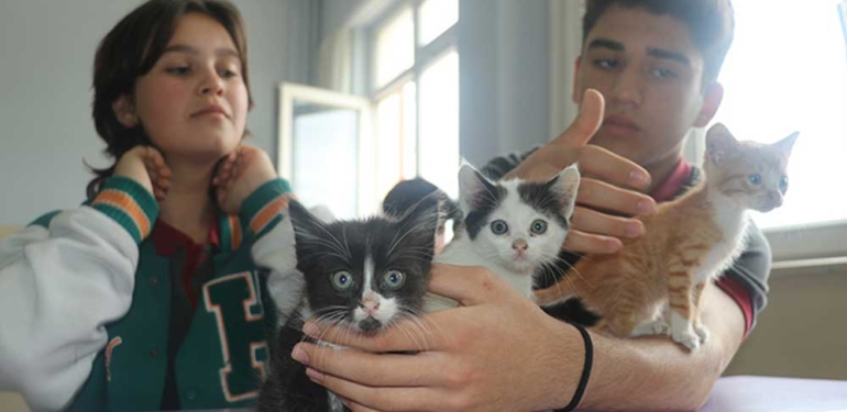 Kedi “Sütlaç” ve 7 yavrusu lisenin yeni üyeleri oldu